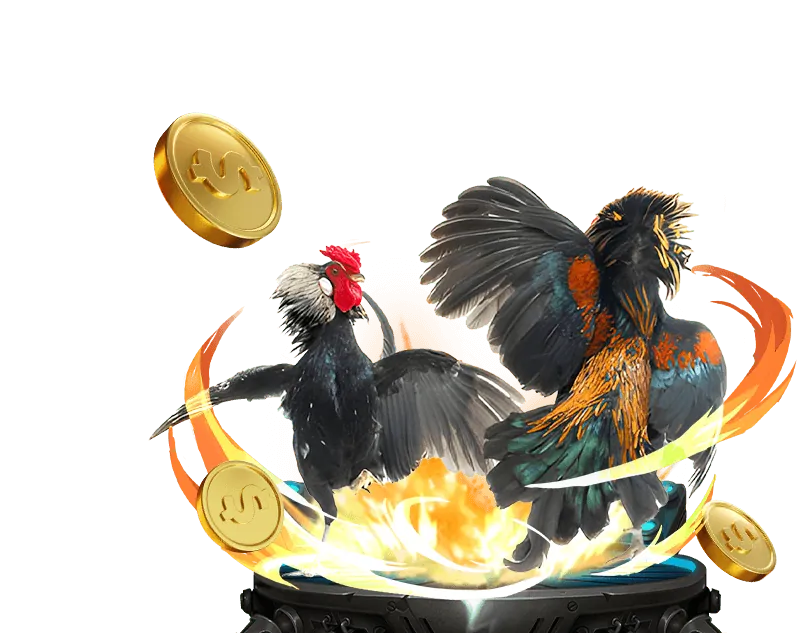 Chương trình VIP mcw77 casino