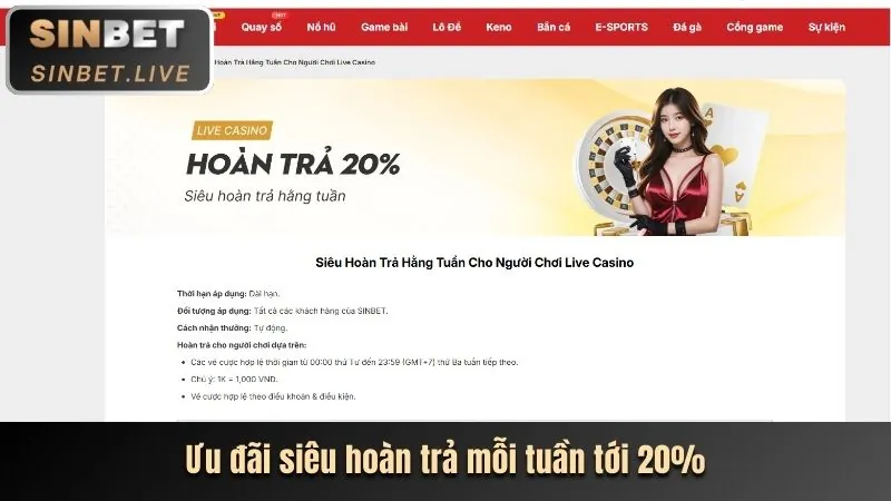 MCW77 khuyến mãi độc quyền